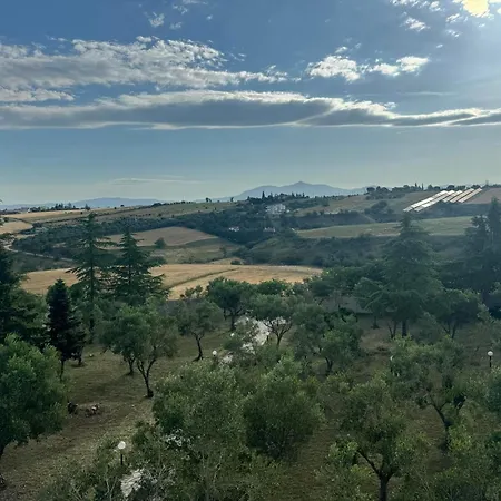 Villa Olive