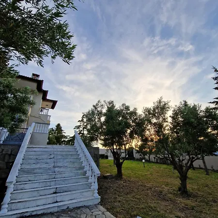 Olive Villa