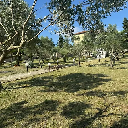 Villa Olive Neo Epivates