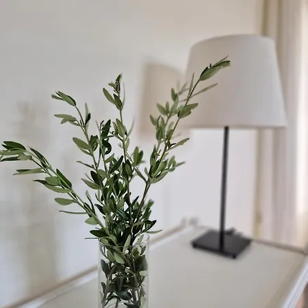 Olive Villa